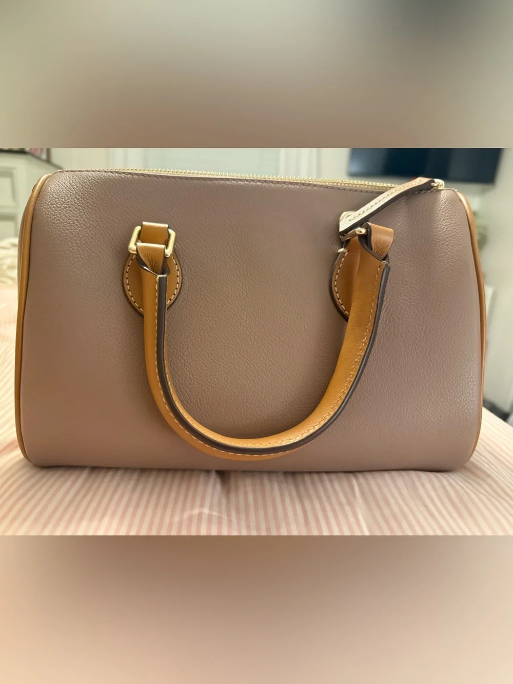 Dooney & Bourke Taupe Satchel with Tan Handles
